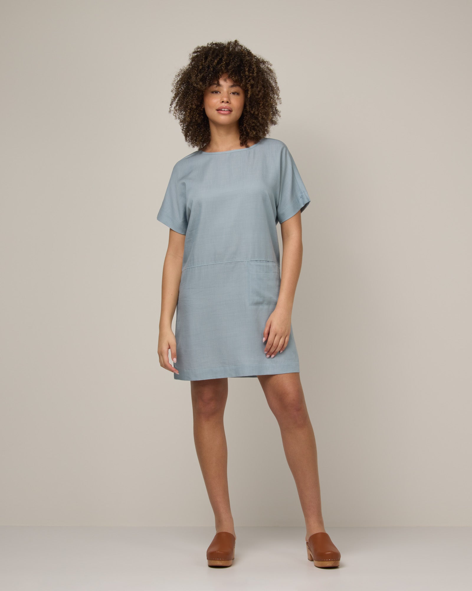 Whitney Chambray Dress