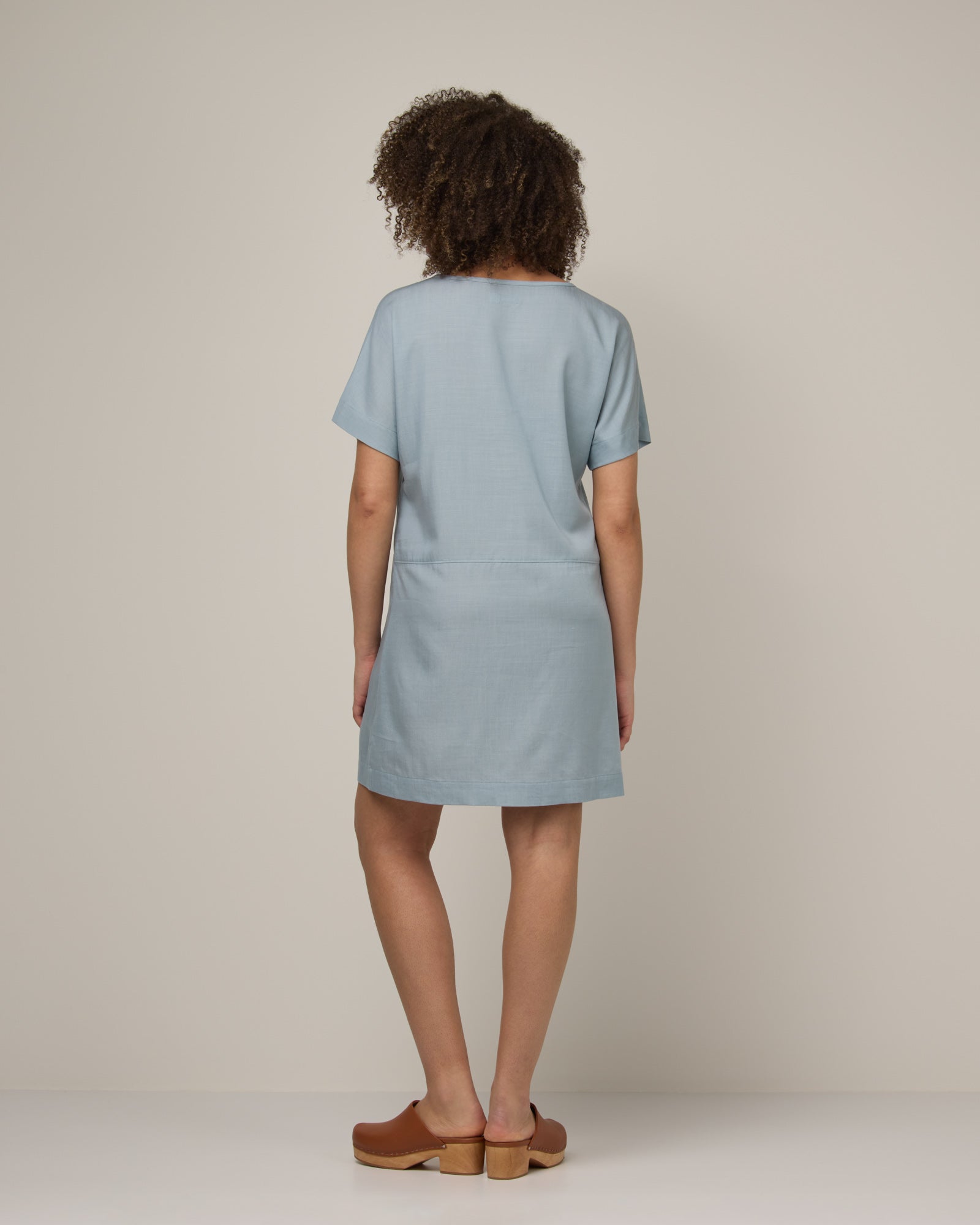 Whitney Chambray Dress