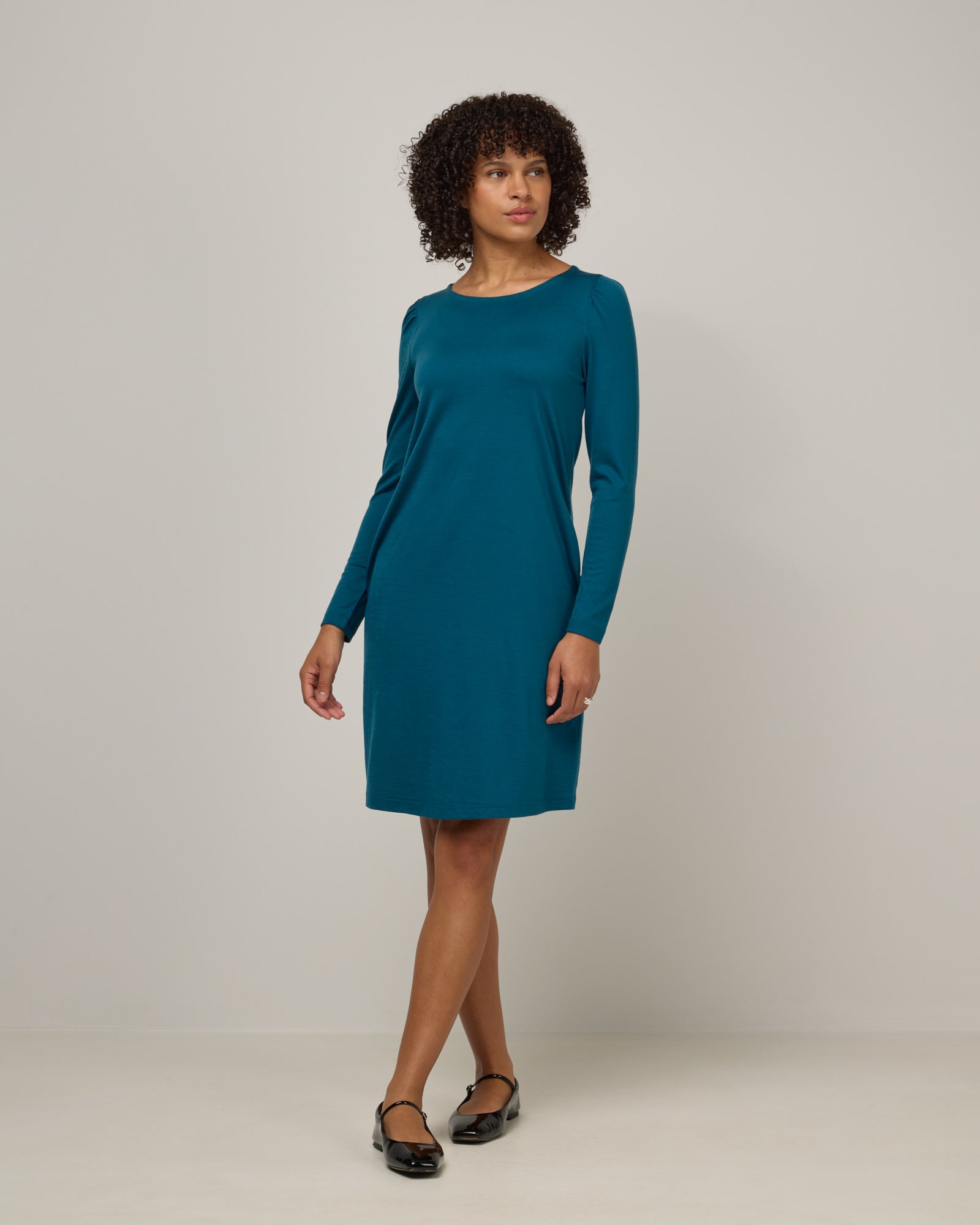 Rosa Puff Sleeve Dress