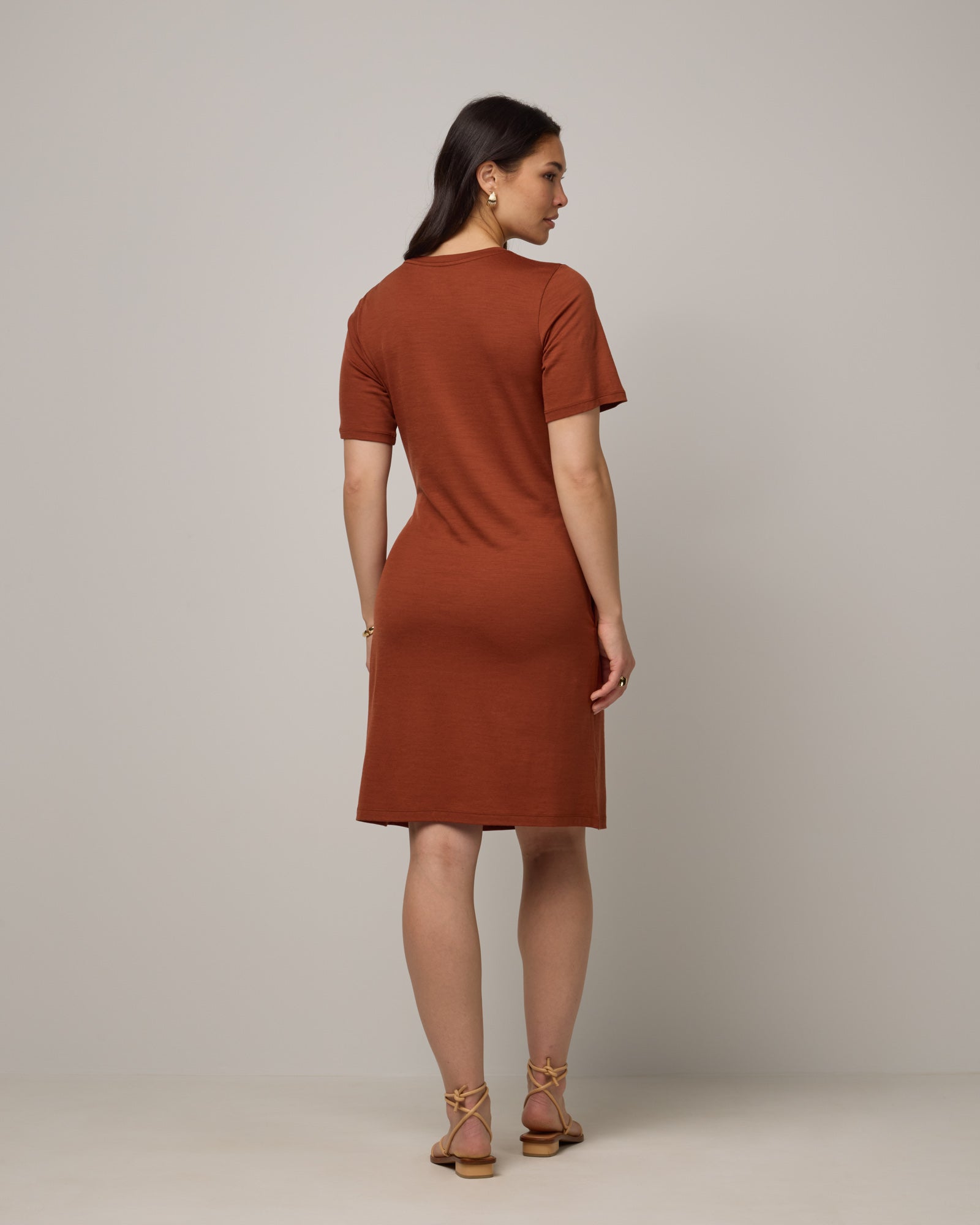 Model wearing Kelly Faux Tie Dress in Cinnamon, a rusty reddish-brown color. Kelly Faux Tie Dress is a merino wool crew neck, short sleeve, knee length shift dress with pockets available in sizes XS-3X. 